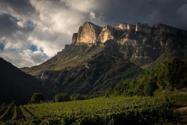 Saillans  Chez Nathalie Et Etienne Bed & Breakfast エクステリア 写真