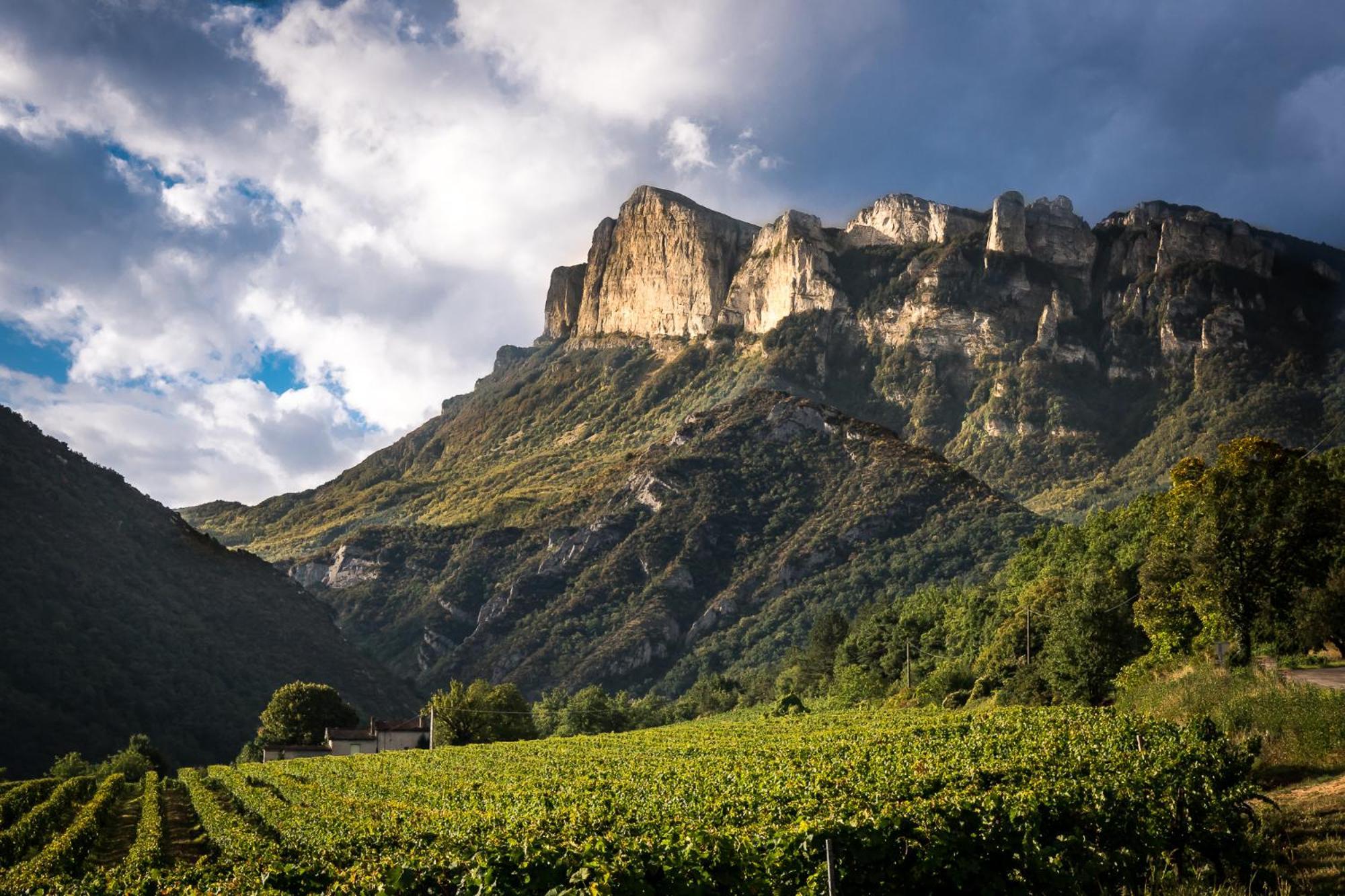 Saillans  Chez Nathalie Et Etienne Bed & Breakfast エクステリア 写真